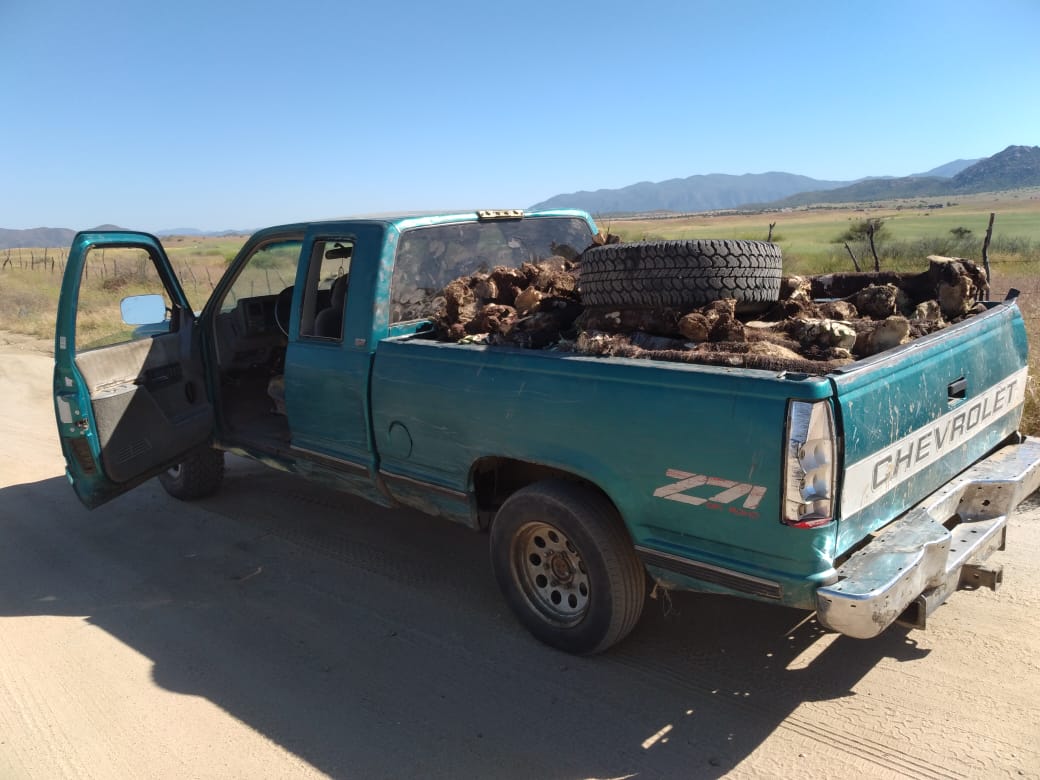 Abandonan camioneta con marihuana, yuca y un arma