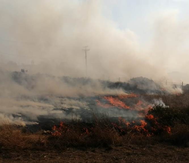 Se activa Comité Estatal del Manejo de Fuego para combatir más de 28 incendios