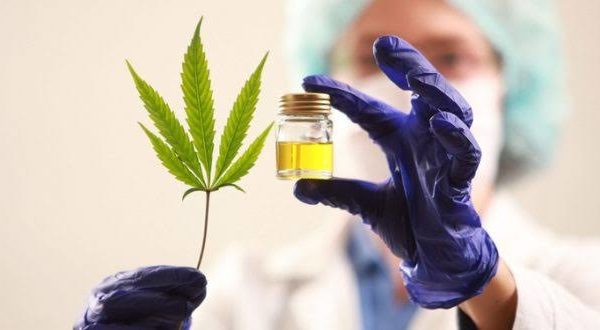 Poder Judicial de la Federación ordena a la SS uso de cannabis medicinal
