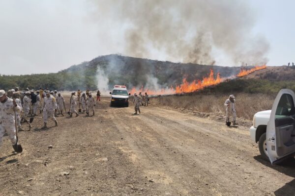 Bomberos  de Rosarito contienen incendio forestal en un 70 por ciento