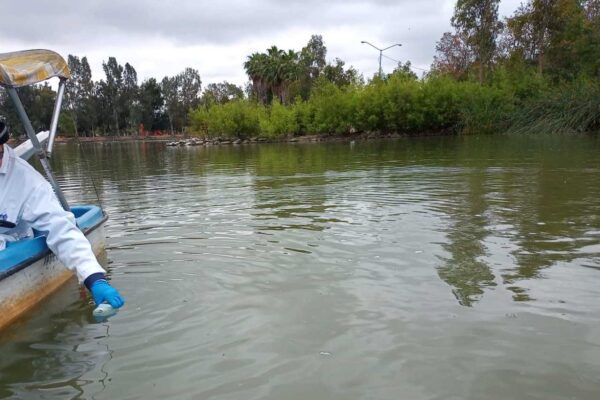 Agua en laguna del Parque de la Amistad ya no representa peligro para flora y fauna