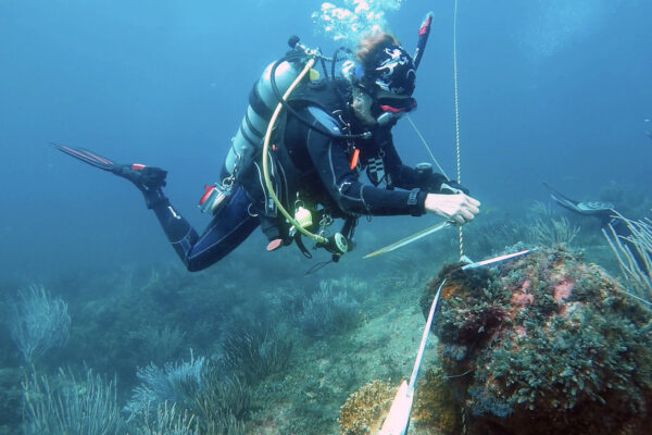 La arqueóloga subacuática Helena Barba es reelecta en el Consejo Asesor Científico y Técnico de la Convención 2001 de la UNESCO