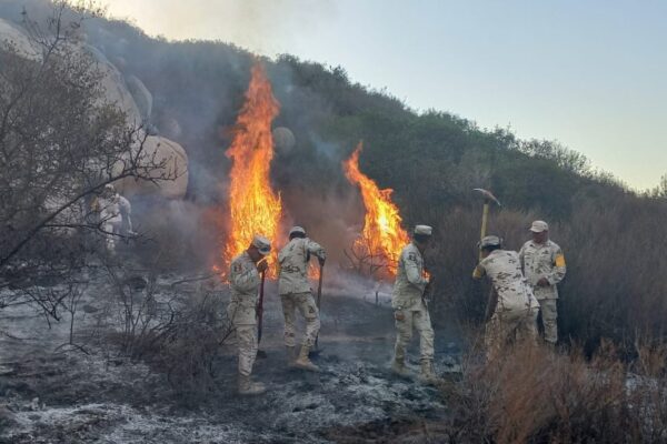 Ejército Mexicano participó en la sofocación de un incendio forestal en Tecate