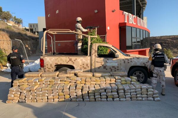 Ejército Mexicano localiza droga y destruye cinco plantíos de marihuana en Ensenada
