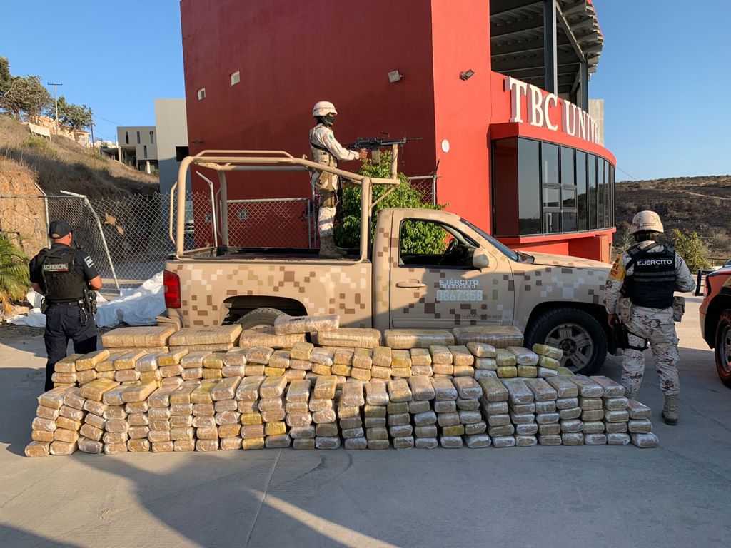 Ejército Mexicano localiza droga y destruye cinco plantíos de marihuana en Ensenada
