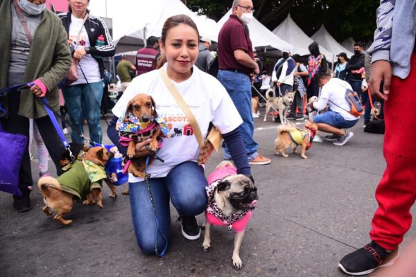Ayuntamiento de Tijuana realizó la Segunda Feria de las Mascotas