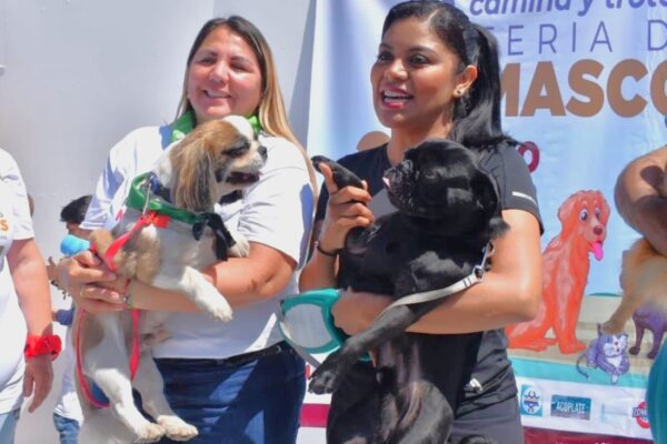 Mascotas las grandes protagonistas en Playas de Tijuana: Regidora Marisol Hernández Sotelo