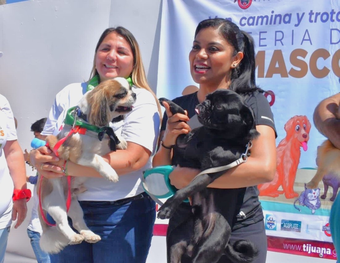 Mascotas las grandes protagonistas en Playas de Tijuana: Regidora Marisol Hernández Sotelo