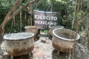 Ejército Mexicano desmantela 3 narcolaboratrios en Culiacán