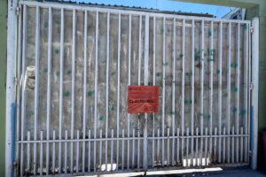 Rescata Ayuntamiento de Tijuana cinco canes del centro Guardianes K-9
