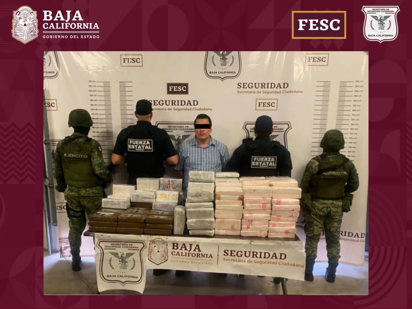 Decomisan casi 400 kilos de cocaína en Tijuana