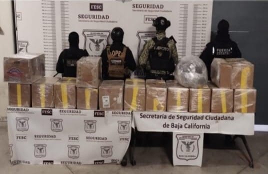 Autoridades militares, federales y estatales decomisan cargamento de más de media tonelada de drogas en Tijuana